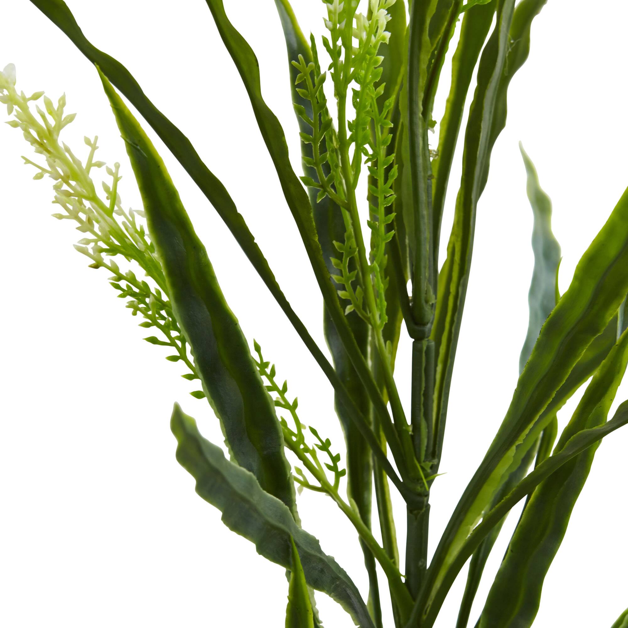 2.25ft. Vanilla Grass Plant, 24ct.